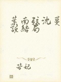 叶南弦沈蔓歌小说结局