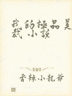 我的极品美女总裁 小说