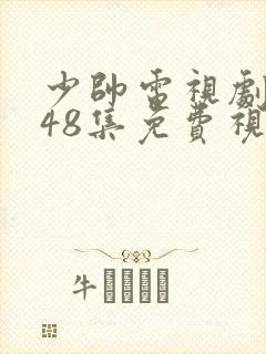 少帅电视剧1一48集免费视频