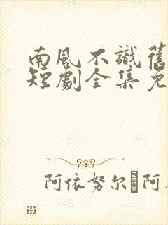 南风不识旧时人短剧全集免费播放封面