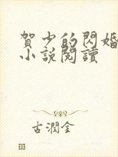 贺少的闪婚暖妻小说阅读