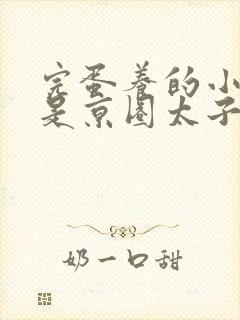 完蛋养的小白脸是京圈太子爷短剧