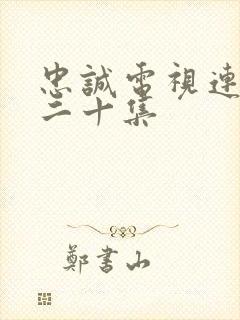 忠诚电视连续剧二十集