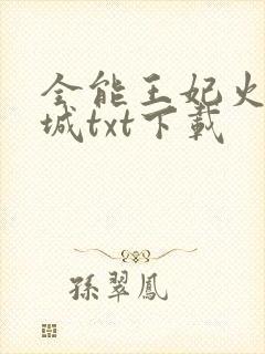 全能王妃火爆京城txt下载