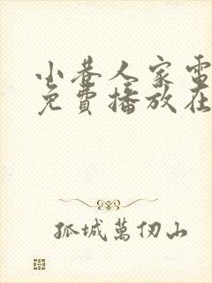 小巷人家电视剧免费播放在线