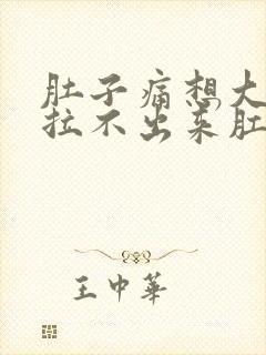 肚子痛想大便又拉不出来肛门坠胀