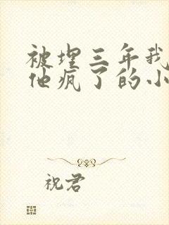 被埋三年我死了他疯了的小说