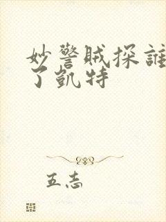 妙警贼探谁绑架了凯特封面