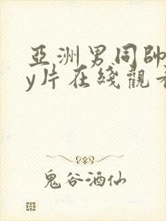 亚洲男同帅gay片在线观看