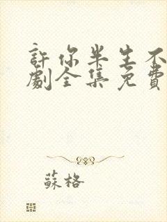 许你半生不见短剧全集免费播放