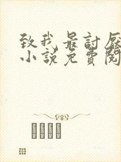 致我最讨厌的你小说免费阅读