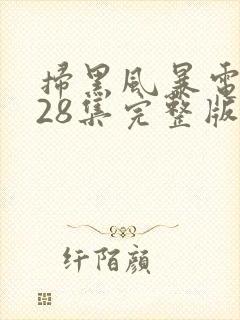 扫黑风暴电视剧28集完整版免费