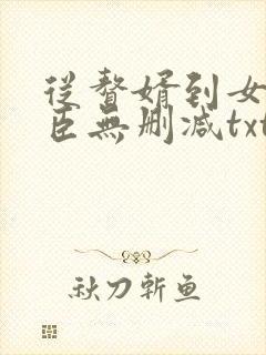 从赘婿到女帝宠臣无删减txt封面