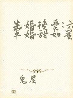 先婚后爱:六零军婚甜如蜜