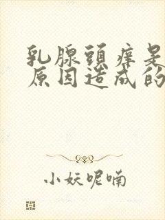 乳腺头痒是什么原因造成的