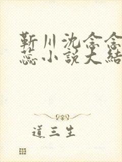 靳川沈念念孟娇蕊小说大结局免费