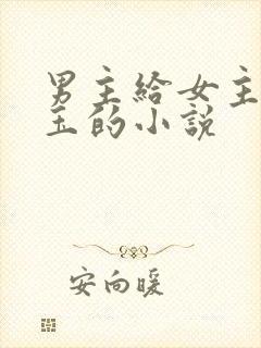 男主给女主放药玉的小说