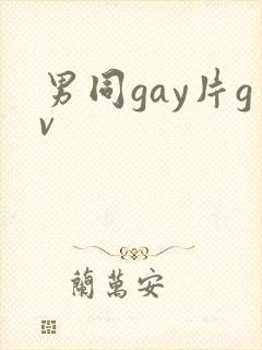 男同gay片gv