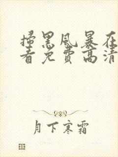 扫黑风暴在线观看免费高清