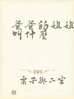 爸爸的姐姐丈夫叫什么