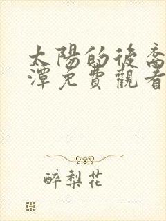 太阳的后裔李采潭免费观看封面