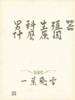 男科生殖器痒是什么原因