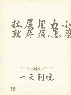 拉屎用力小腹部就疼痛,怎么回事封面