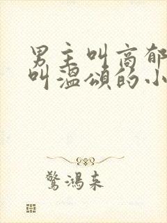 男主叫商郁女主叫温颂的小说封面