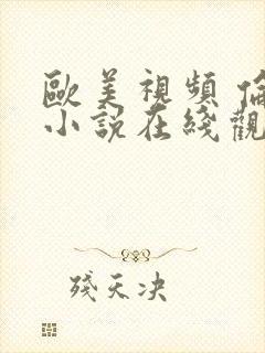 欧美视频 伦理小说在线观看