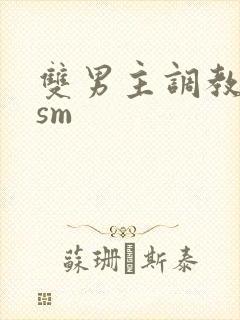 双男主调教小说sm封面