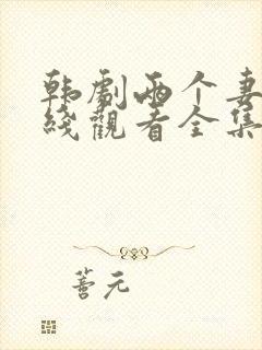 韩剧两个妻子在线观看全集免费