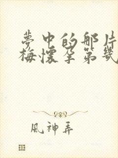 梦中的那片海晓梅怀孕第几集