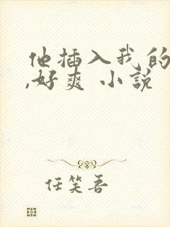 他插入我的穴里,好爽 小说