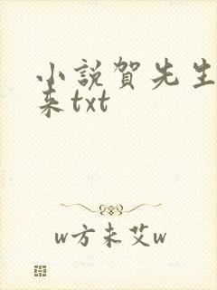 小说贺先生别乱来txt