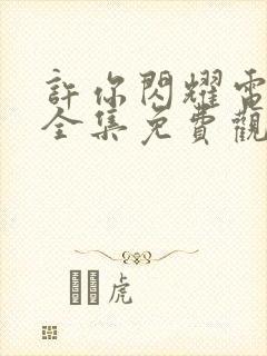 许你闪耀电视剧全集免费观看封面