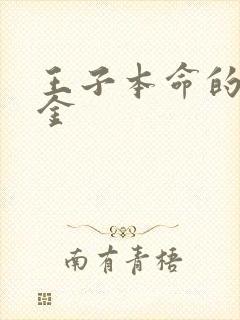 王子本命的恶千金