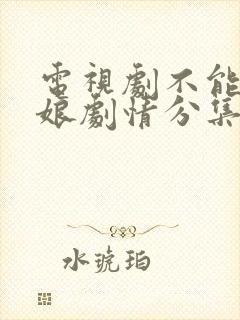 电视剧不能没有娘剧情分集介绍封面