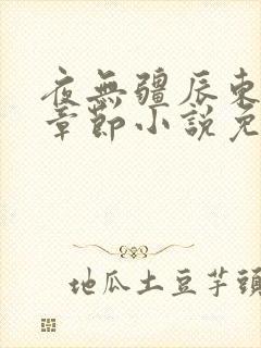 夜无疆辰东最新章节小说免费阅读