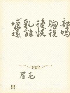 哺乳后胸部下垂还能恢复吗