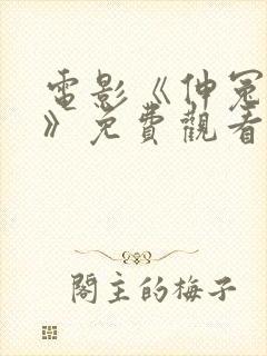 电影《伸冤人4》免费观看全集