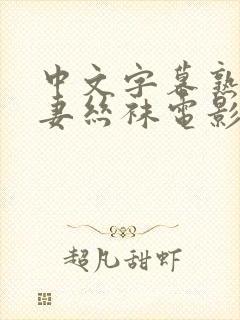 中文字幕熟女人妻丝袜电影