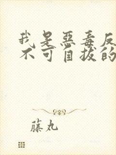 我是恶毒反派却不可自拔的爱上了主角封面