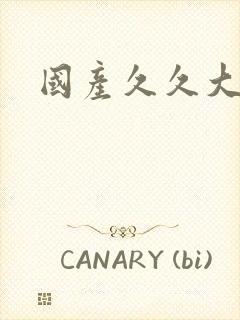 国产久久大奶子