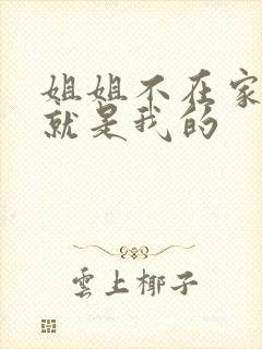 姐姐不在家姐夫就是我的