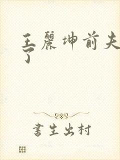 王丽坤前夫怎么了