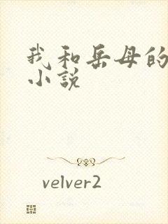 我和岳母的秘密小说