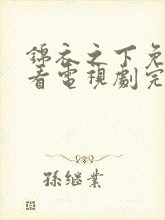 锦衣之下免费观看电视剧完整版高清封面