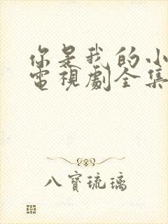 你是我的小确幸电视剧全集免费观看高清