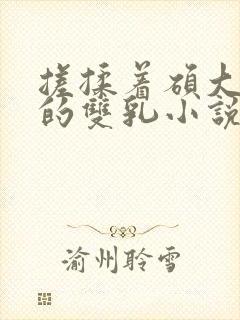 搓揉着硕大丰满的双乳小说封面