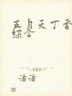 五月天丁香婷婷综合